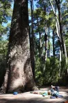 Parc National Villarica