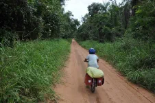 Très agréable piste dans la forêt