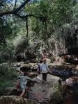 Parc national Ybycui