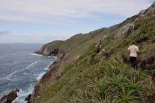 Puis débouche sur la "côte bretonne"
