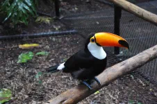Visite du Parque da aves