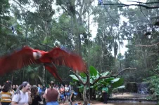 Visite du Parque da aves