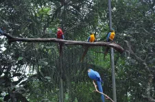 Visite du Parque da aves