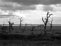 sur la route