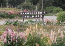 Tolhuin