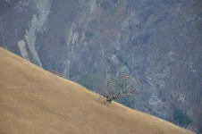 De Capuliyoc à Marampata