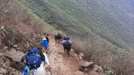 De Marampata à Chiquisca