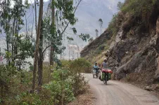 Après une bonne petit suée à pousser les vélos dans la pente, nous nous retrouvons entre les eucalyptus
