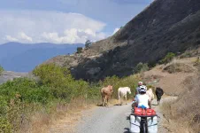 Qu'est-ce qu'il y a comme circulation sur cette route...